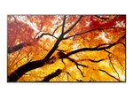 Sharp MultiSync M432, Pannello piatto per segnaletica digitale, 108 cm (42.5"), ...