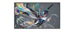 65 Q-LINE 18/7, 4K UHD